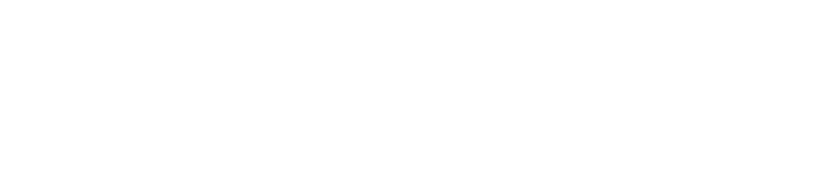 OTOAI